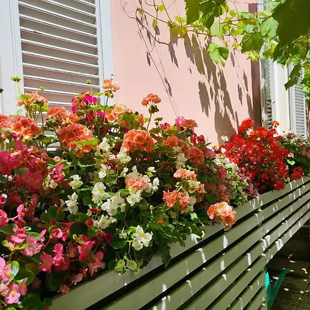 Il Buen Retiro Guest house *