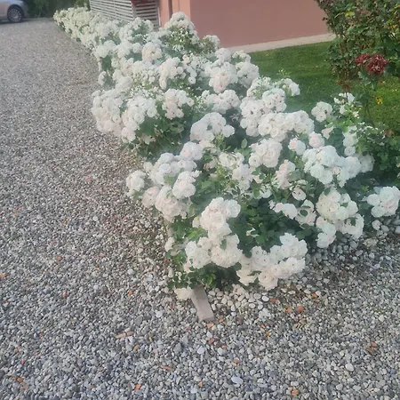Il Buen Retiro Guest house