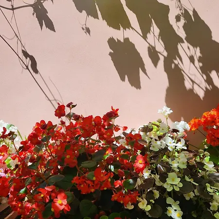 Il Buen Retiro Guest house *