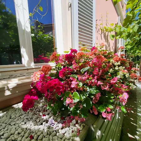 Il Buen Retiro Λούκα